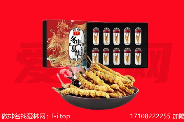 唐山市迁西回收虫草.jpg